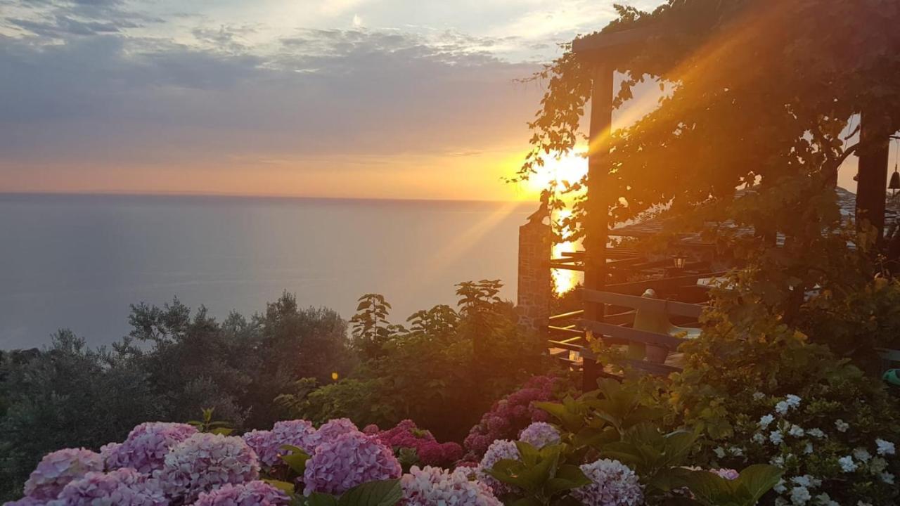 Villa Analipsi Sea View Hommes Zagora Esterno foto