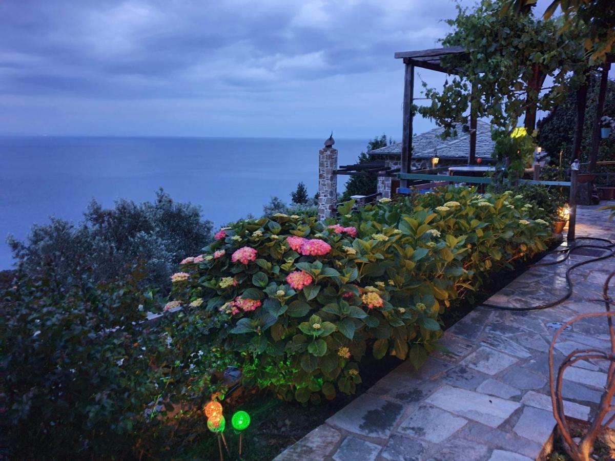 Villa Analipsi Sea View Hommes Zagora Esterno foto
